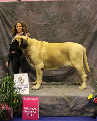 de Whititera - Muffin : 2éme champion sur le ring d'Honneur à Rouen !!