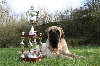  - Ch IB Chaputepek Everyday Hero-Best in Show-CACIB Limoges