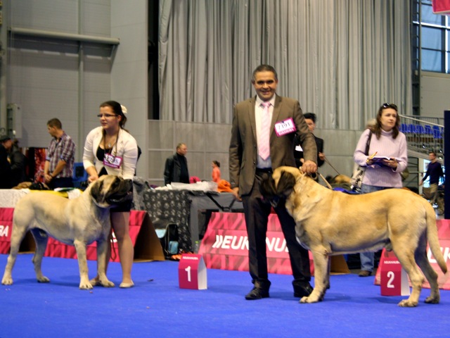 de Whititera - Horaccio de Whititera : RCAC au Championnat d'Europe